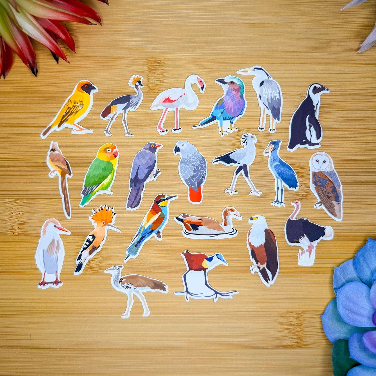 Mini African Birds Sticker Pack