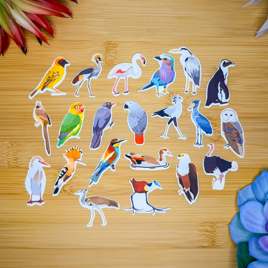 Mini African Birds Sticker Pack