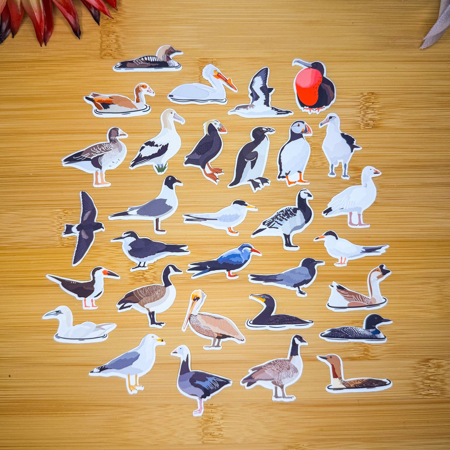Mini Seabirds Sticker Pack