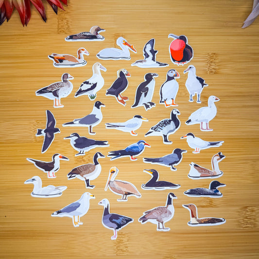 Mini Seabirds Sticker Pack
