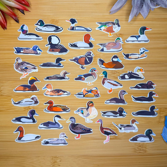 Mini Ducks Sticker Pack