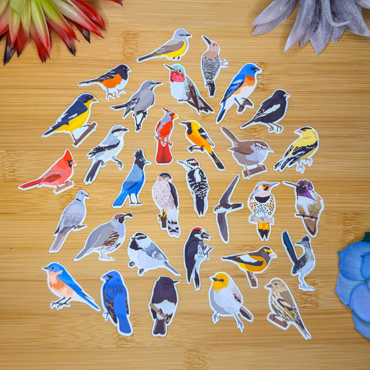 Mini Southwest Backyard Birds Sticker Pack