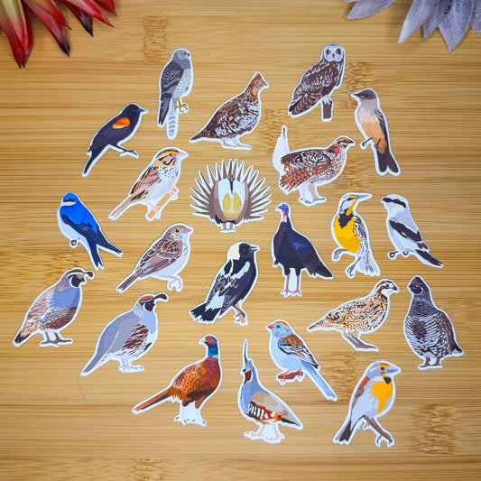 Mini Grassland Birds Sticker Pack
