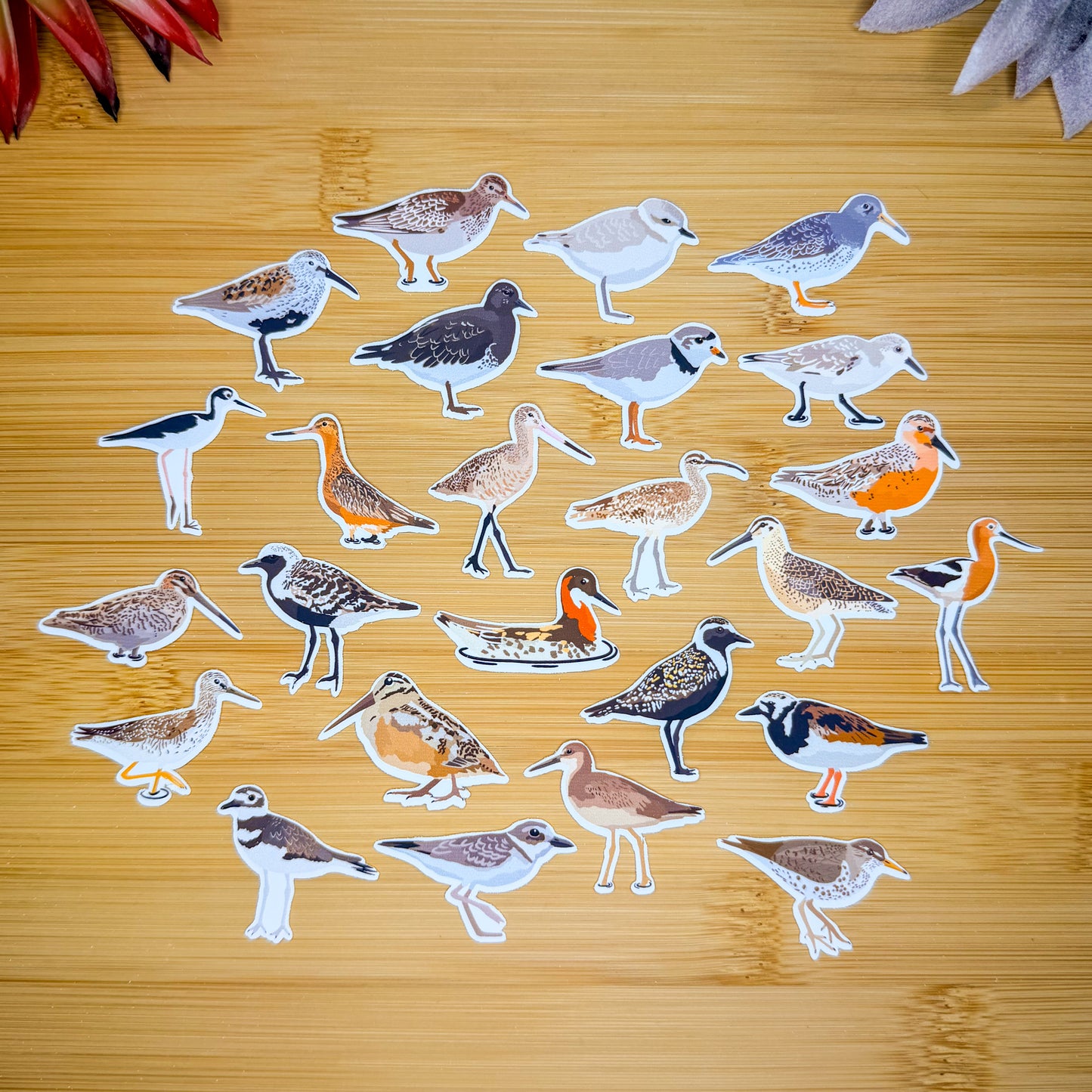 Mini Shorebirds Sticker Pack