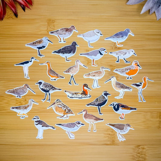Mini Shorebirds Sticker Pack