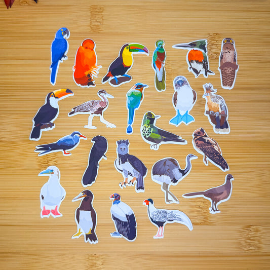 Mini South American Birds Sticker Pack