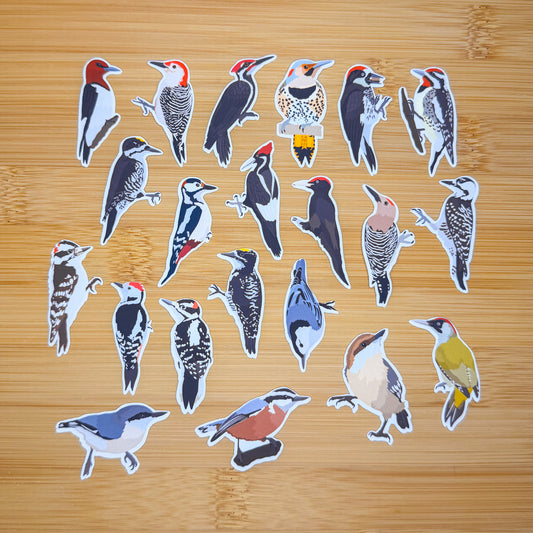 Mini Woodpeckers Sticker Pack