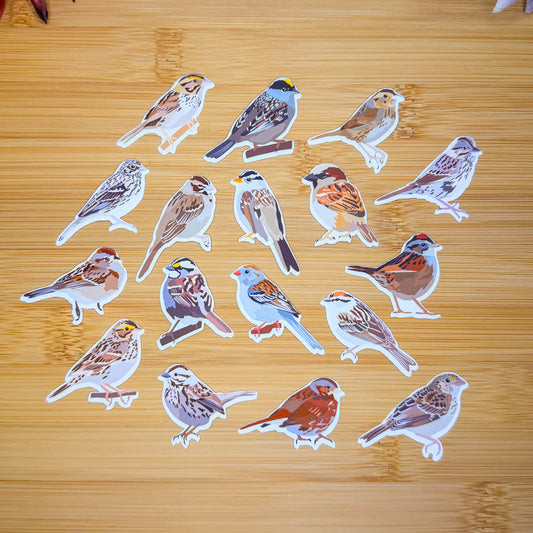Mini Sparrows Sticker Pack