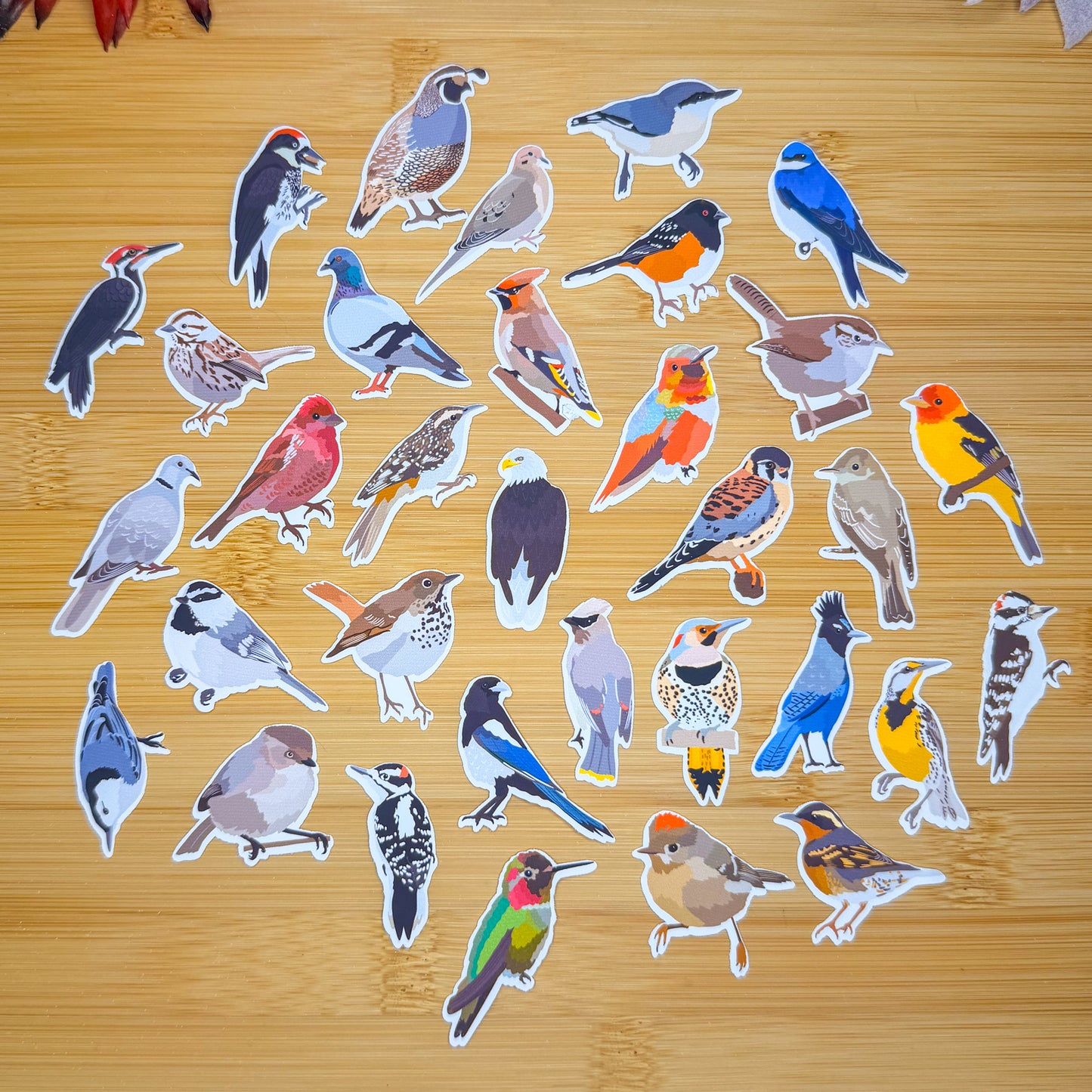 Mini Pacific North West Backyard Birds Sticker Pack
