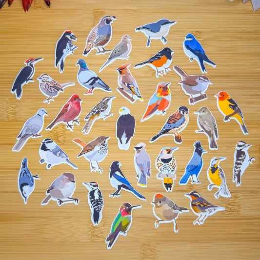 Mini Pacific North West Backyard Birds Sticker Pack