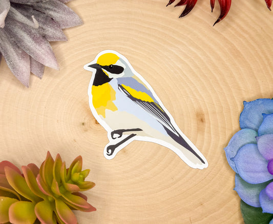 Lawrence's Warbler Sticker