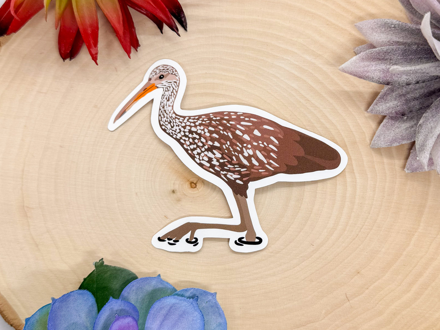Limpkin Sticker