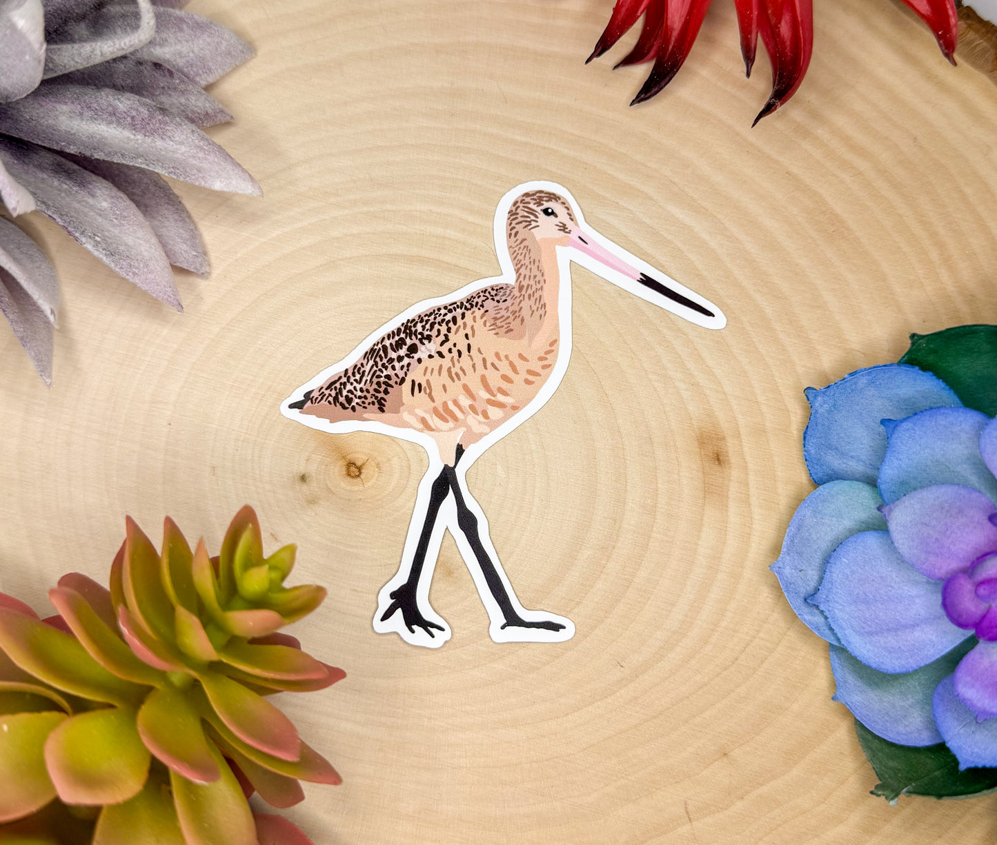 Marbled Godwit Sticker