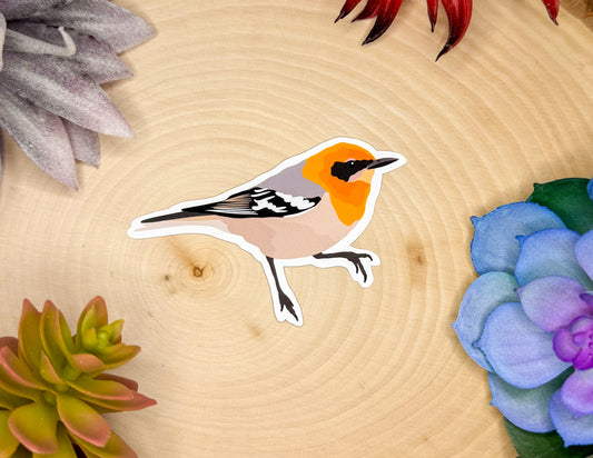 Olive Warbler Sticker