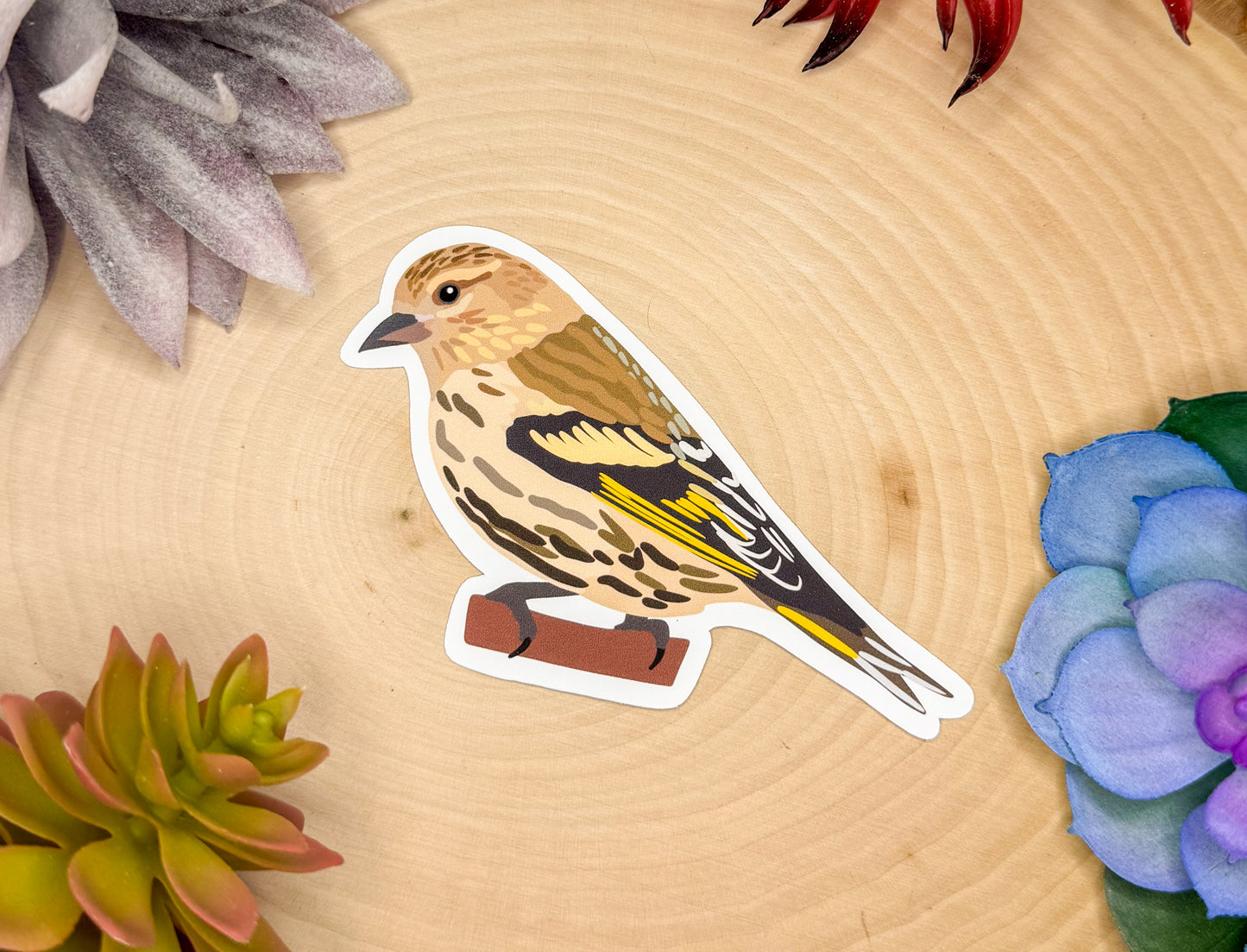 Pine Siskin Sticker