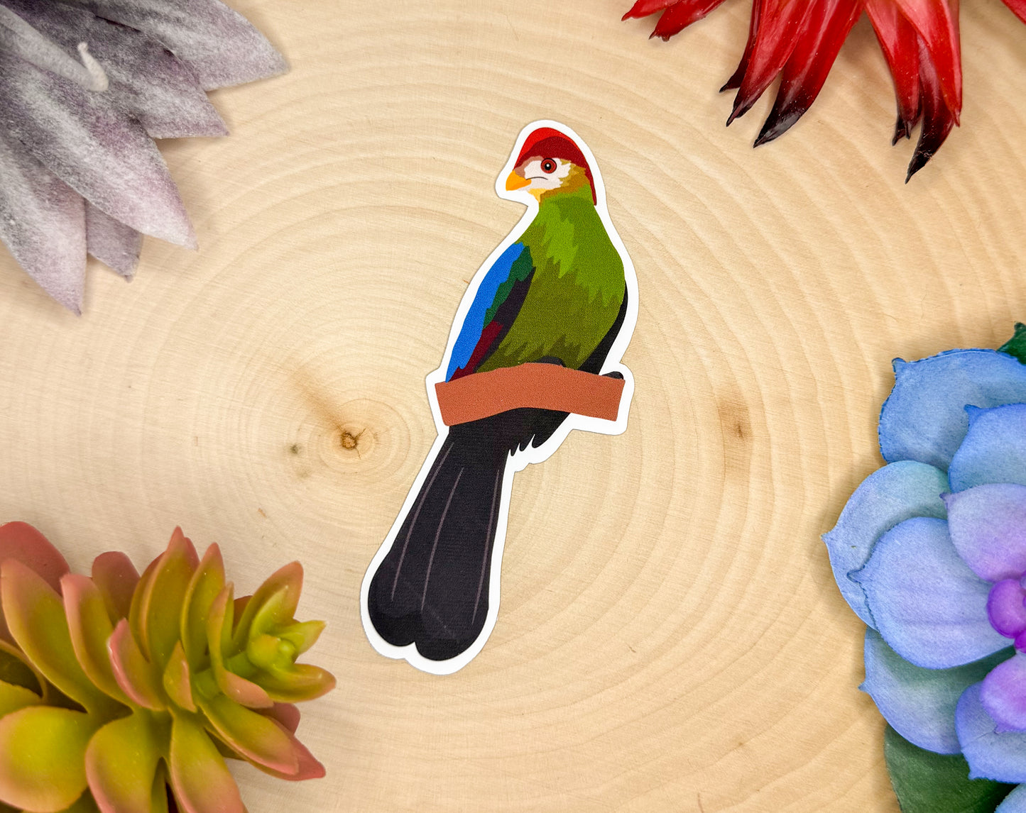 Red Crested Turaco Sticker