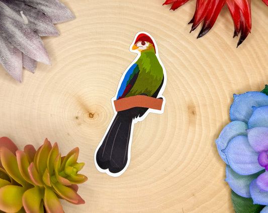 Red Crested Turaco Sticker