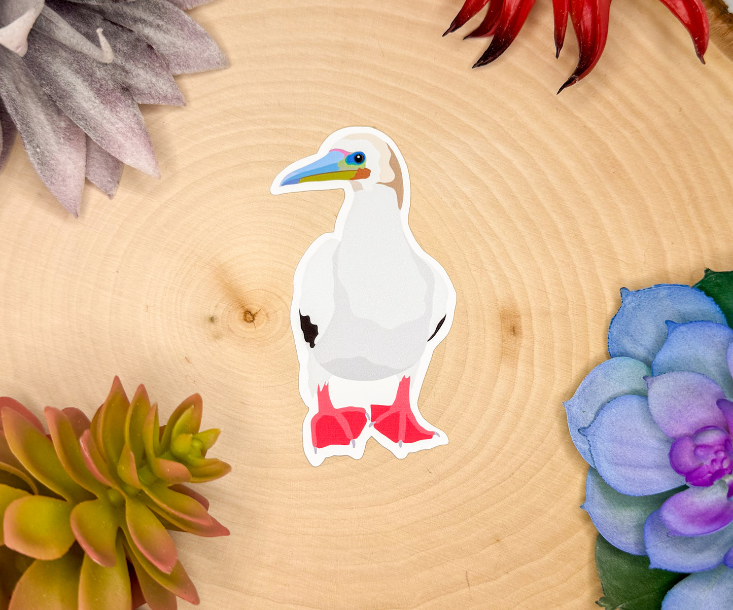 Red Footed Booby Sticker