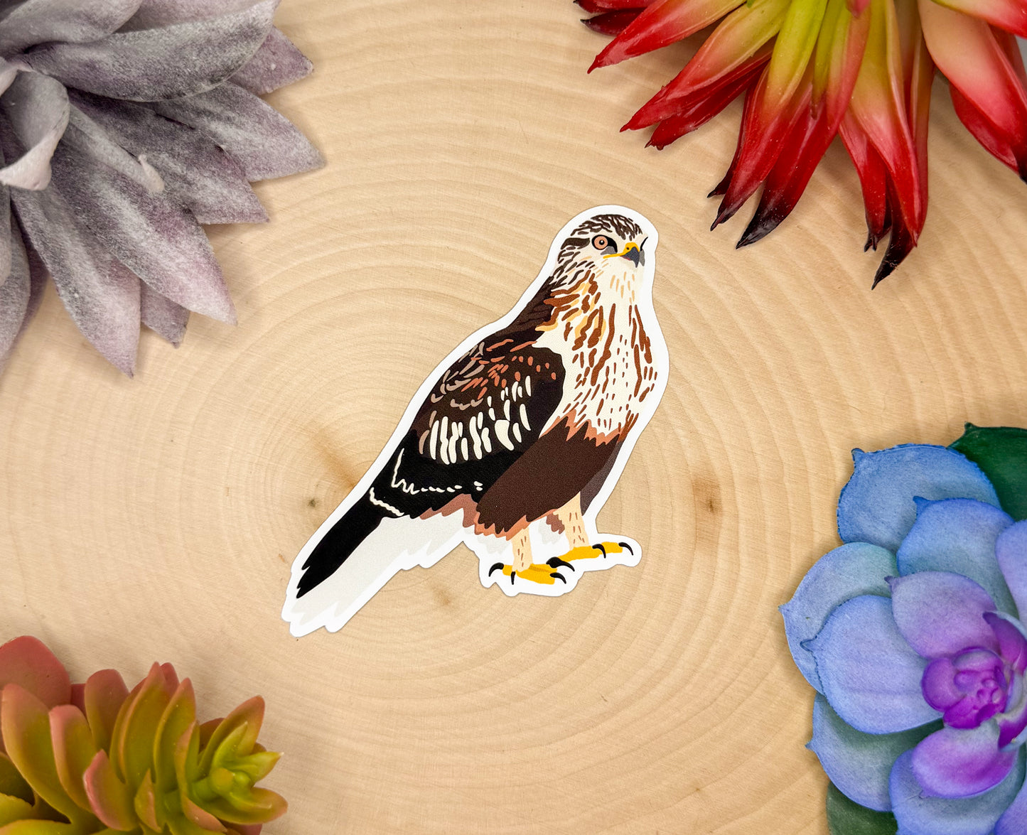 Rough Legged Hawk Sticker