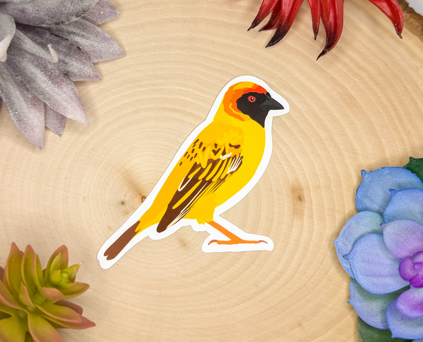 Southern Masked Weaver Sticker