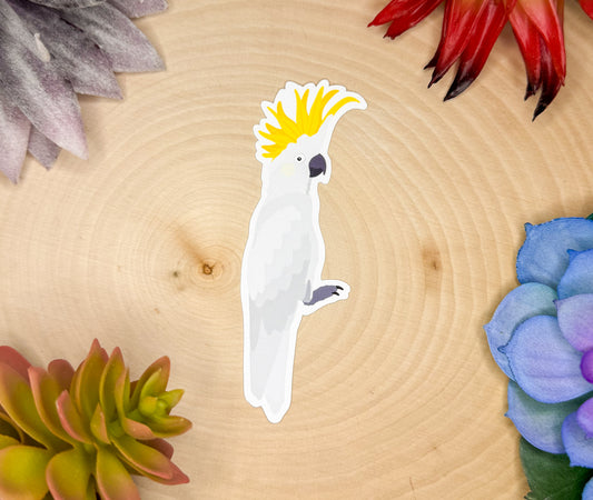 Sulphur Crested Cockatoo Sticker