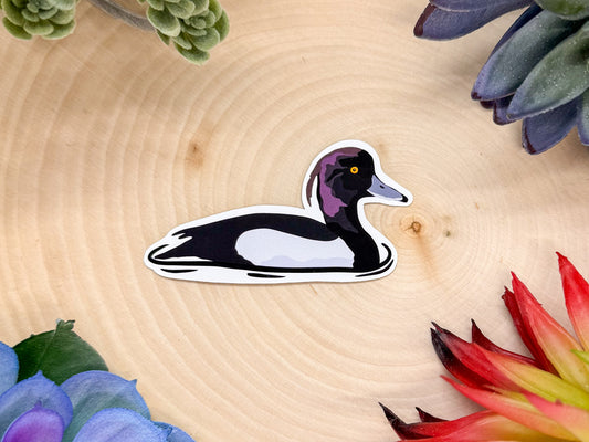 Tufted Duck Sticker