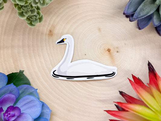 Tundra Swan Sticker