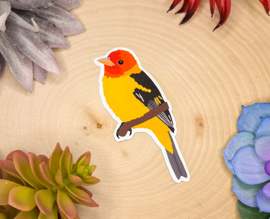 Western Tanager Sticker