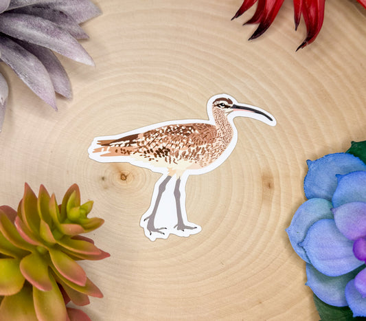 Whimbrel Sticker