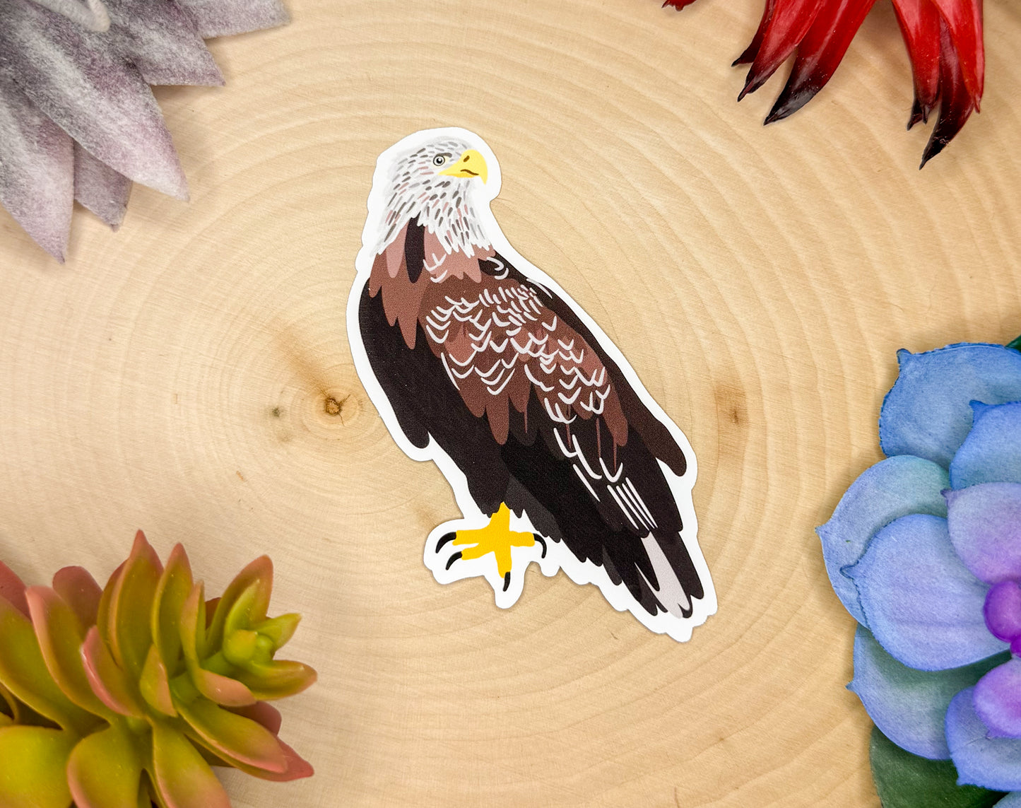 White Tailed Eagle Sticker