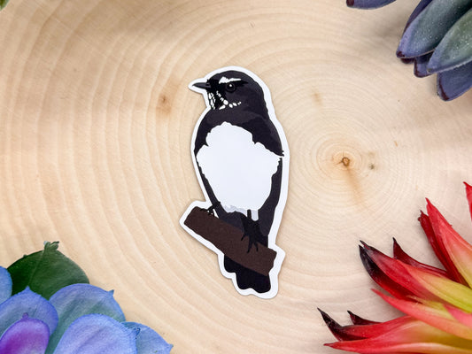 Willie Wagtail Sticker