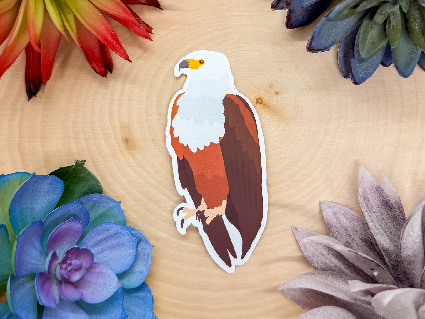 African Fish Eagle Sticker