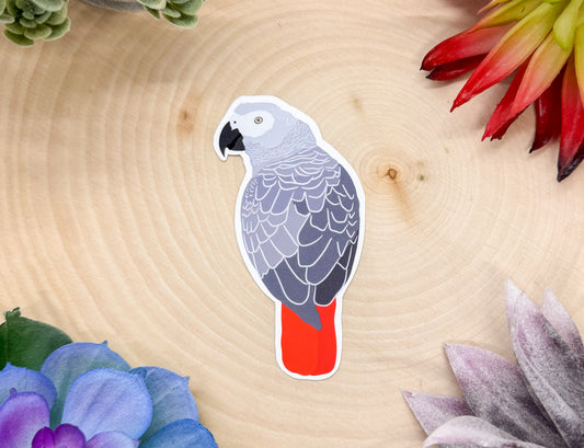 African Gray Parrot Sticker