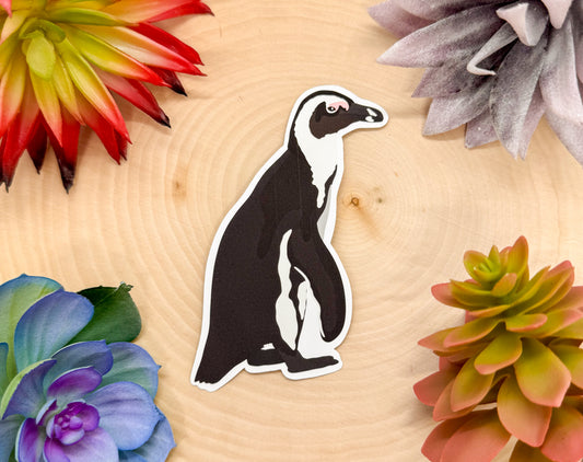 African Penguin Sticker