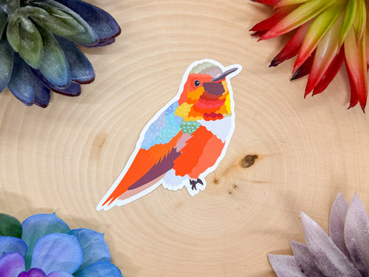 Allens Hummingbird Sticker