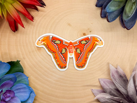 Atlas Moth Sticker