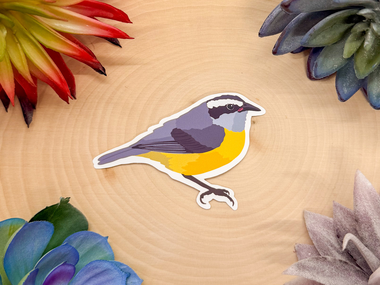 Bananaquit Sticker