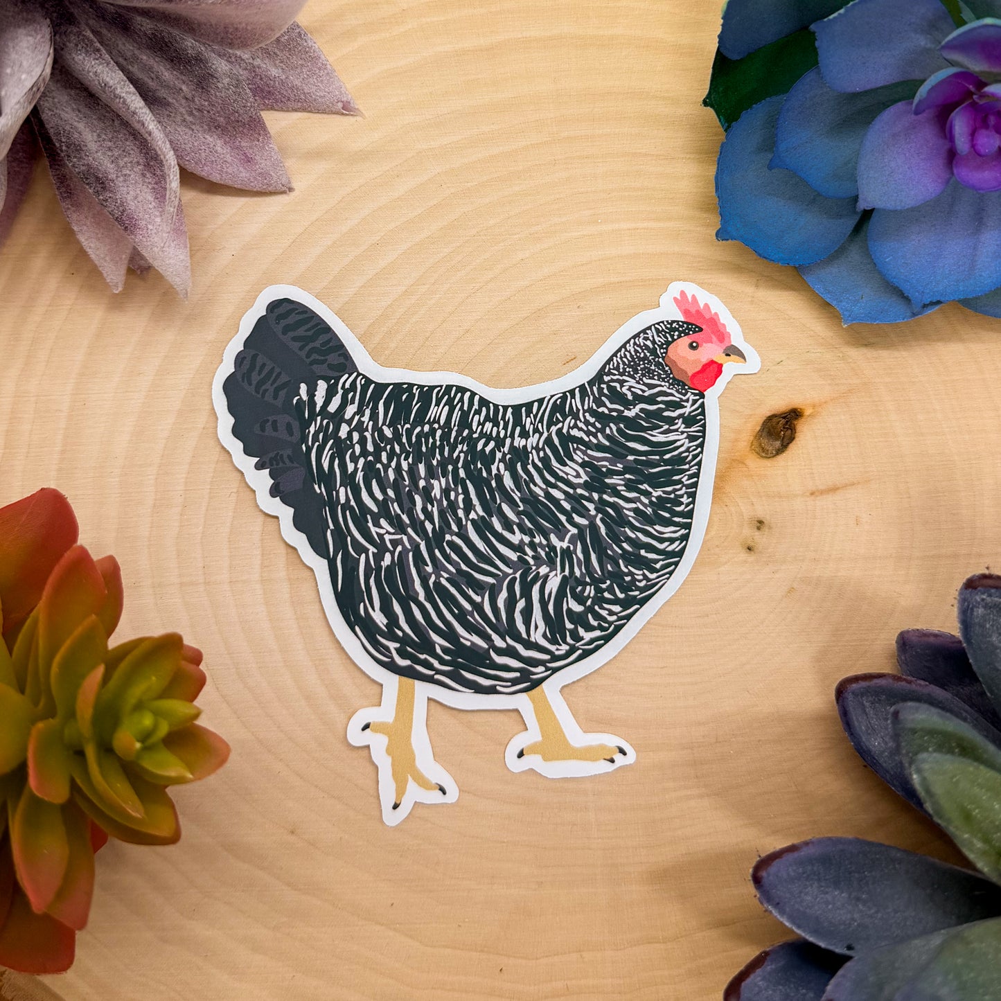 Barred Rock Chicken Sticker