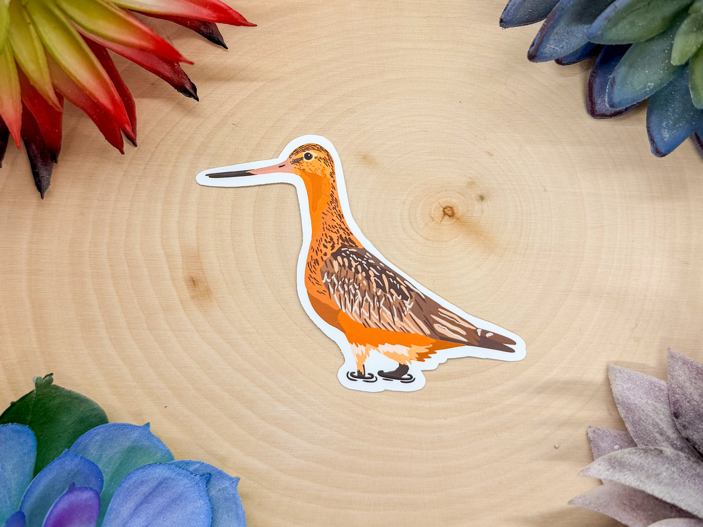 Bar Tailed Godwit Sticker