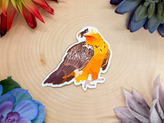 Bearded Vulture Sticker