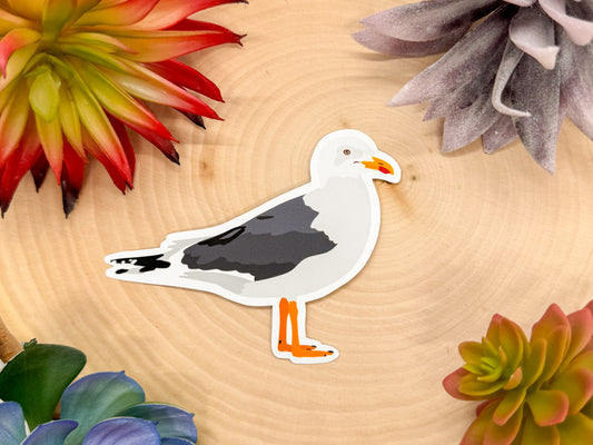 Black Backed Gull Sticker