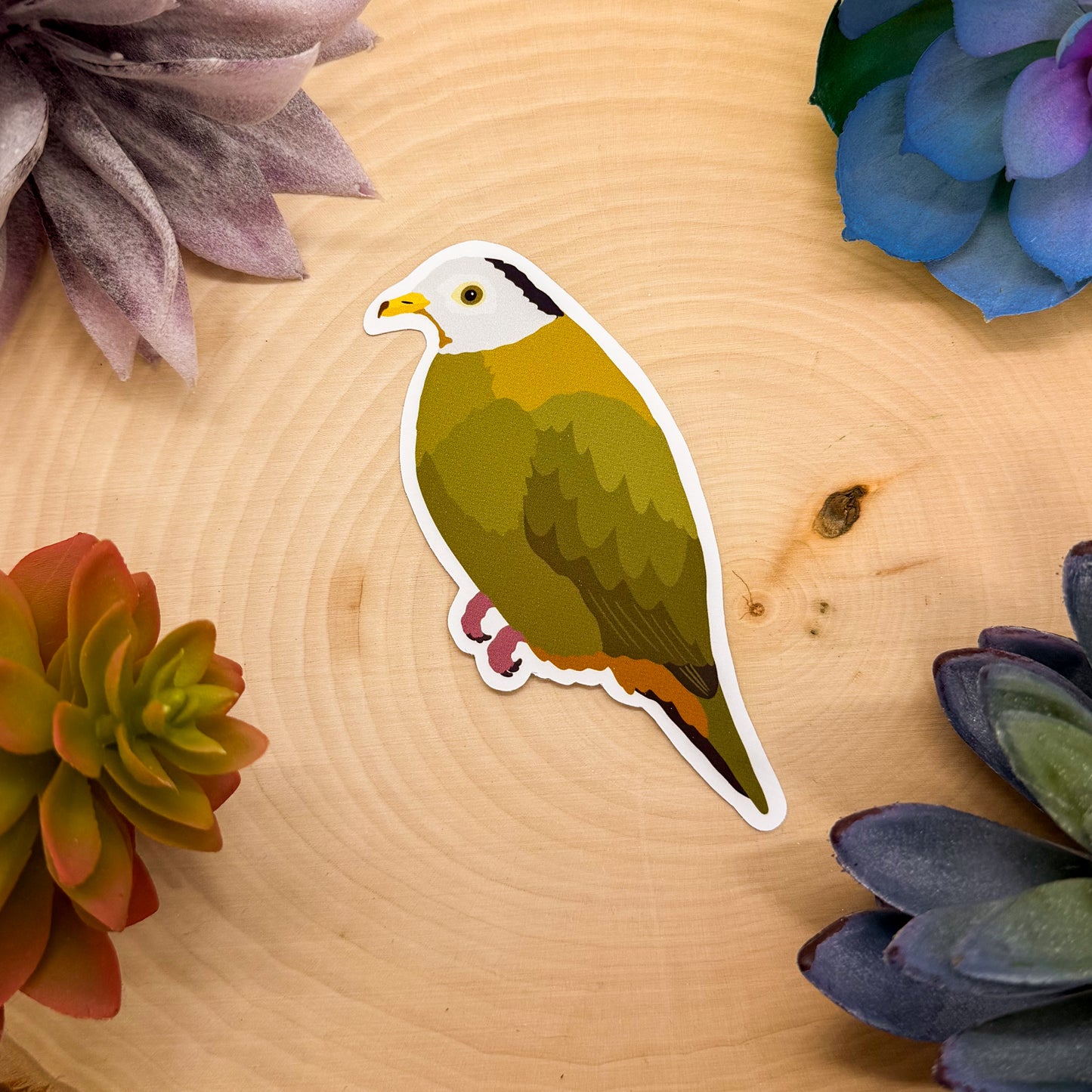 Black Naped Fruit Dove Sticker