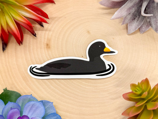 Black Scoter Sticker