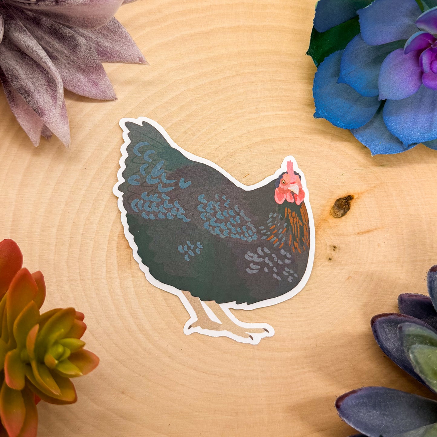 Black Sex Link Chicken Sticker