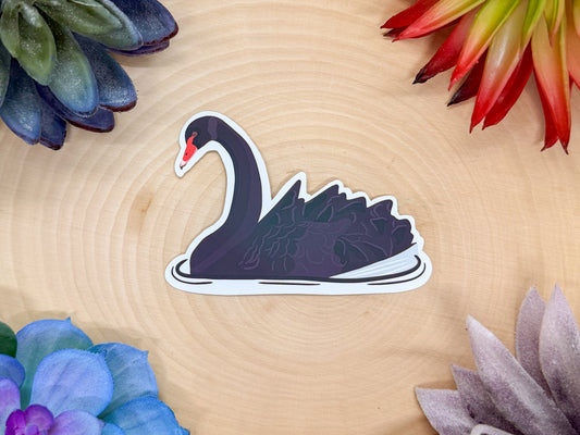 Australian Black Swan Sticker