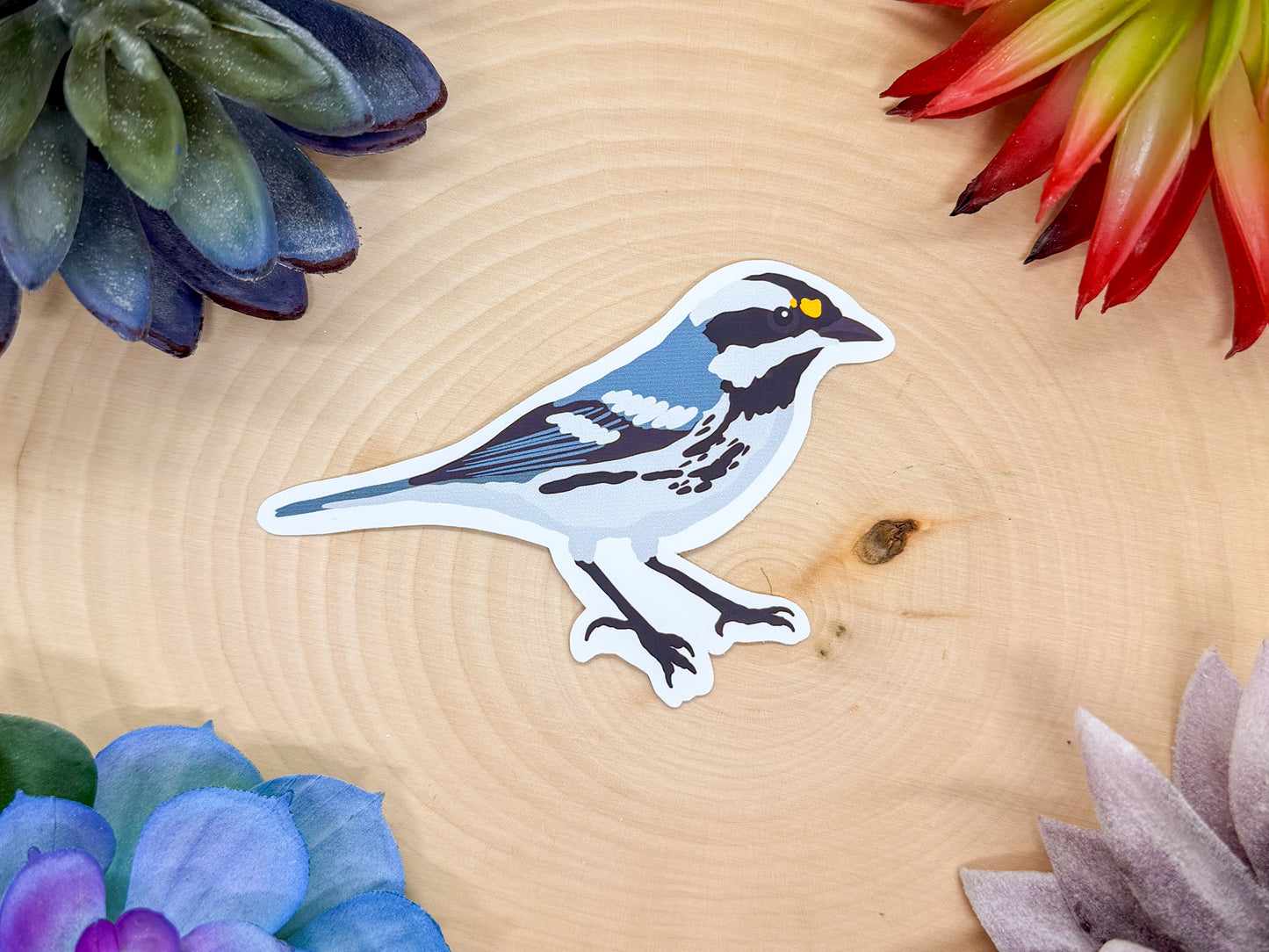 Black Throated Gray Warbler Sticker