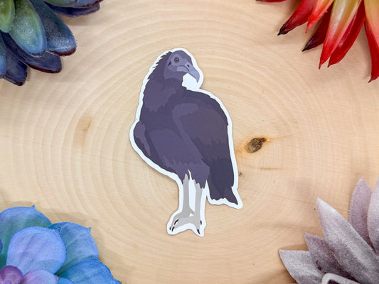 Black Vulture Sticker