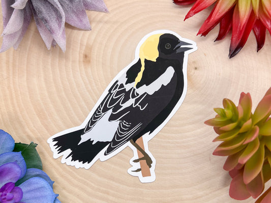 Bobolink Sticker