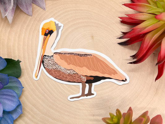Brown Pelican Sticker