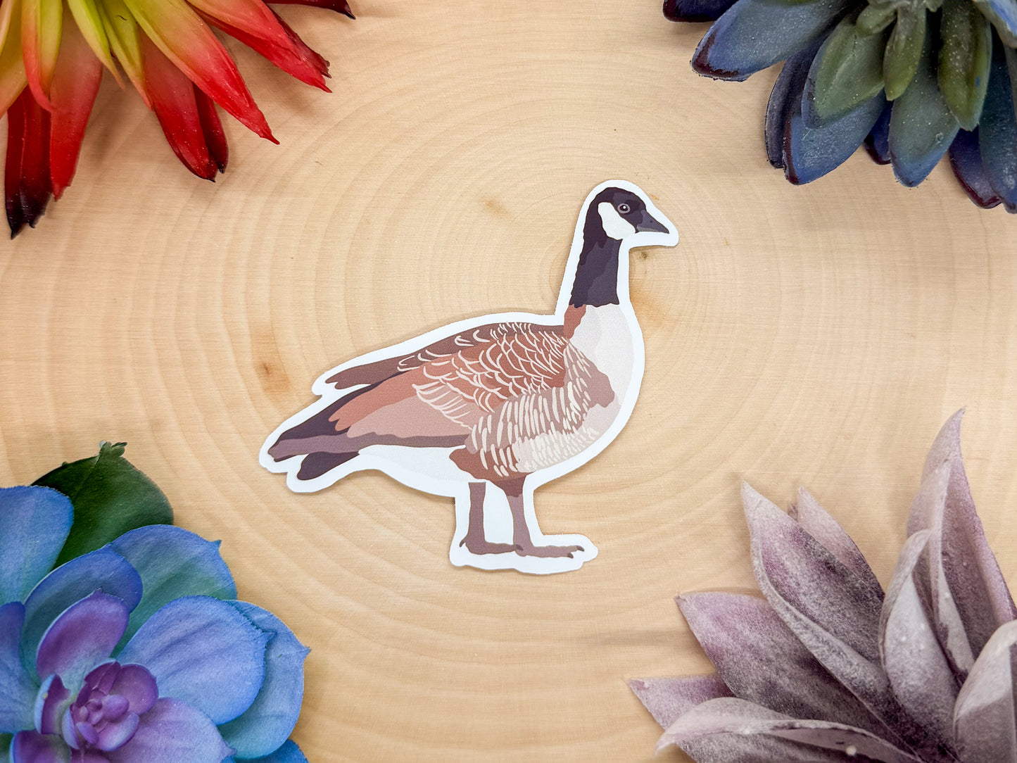 Cackling Goose Sticker